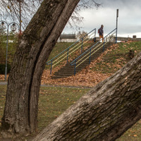 Park