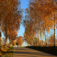 Podvečer na cestě 