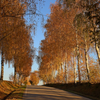 Podzimní cesta