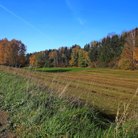 Podzimní cesta