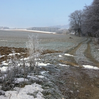 Mrazivé ráno