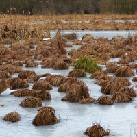 Výjimka