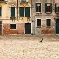Street from Venice