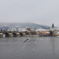 Zima na Vltavě 