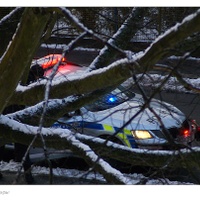 Policie v akci