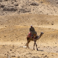V egyptské poušti