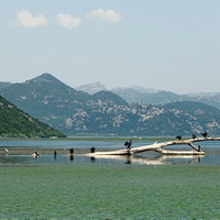 Skadarsko jezero