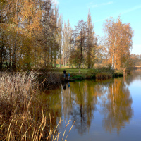 Z Vysočiny 