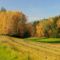 Podzimní nálada 