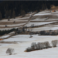 Alpské louky