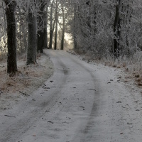 Cesta za sluncem