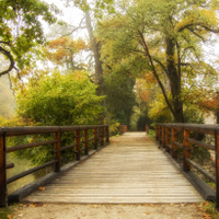 Podzim u mostu