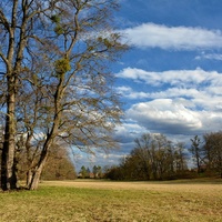 Předjarní