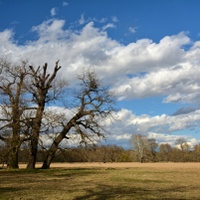 Předjaří