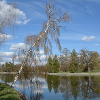 Jarní park