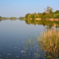 Prostřední rybník