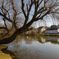Ohrobecký rybník
