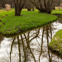 Litovický potok