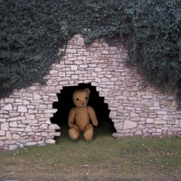 Medvěd jeskynní