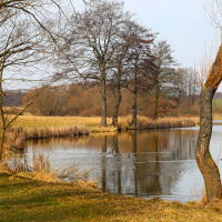 Idylka u rybníka 