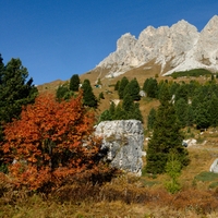 Zářivý podzim v Dolomitech