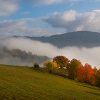 Mlha v údolí