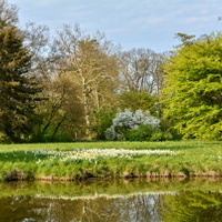 Rozkvetlý park