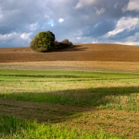 Vysočina u Skřivánku