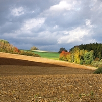 Vysočina u Skřivánku