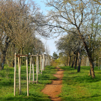 Cesta vzhůru 