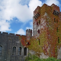 Penrhyn Castle...III.