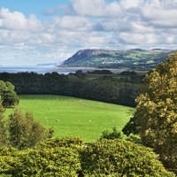 výhled od Penrhyn Castle...II.