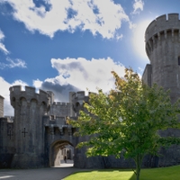 Penrhyn Castle...XVI.