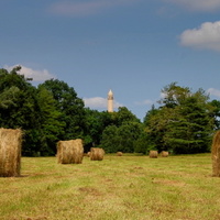 Senoseč pod minaretem