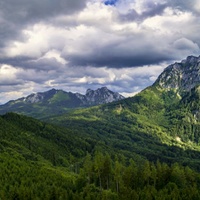 Traunstein