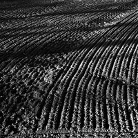 agroart 33