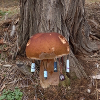 Dědečkův atlas hub - Hřib přívěskatý - Butyriboletus appendiculatus (Jakob Christan Schaeffer) D. Arora et J. L. Frank 2014