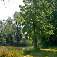 U rybníku v Leštině 
