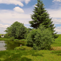 Pohoda na břehu 