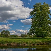 Letní krajina