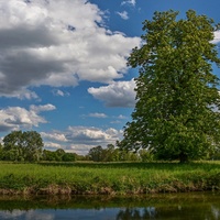 Letní krajina