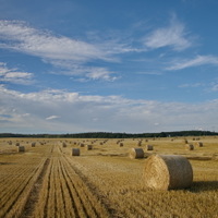 po strništi bos