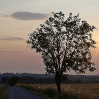 Večer na Vysočině