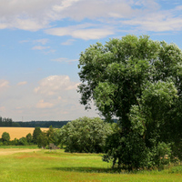 Česká krajina 