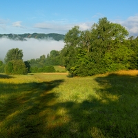 Mlha v údolí