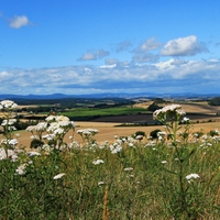 Domažlicko.