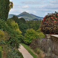 ...pohled z Powis castle...