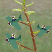 Herbář děda Vševěda - Křídlatka japonská (Reynoutria japonica Houtt.)