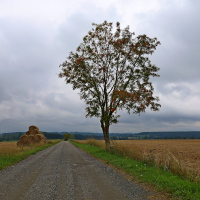 příchod podzimu