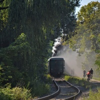 Závody s vlakem